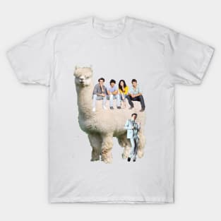 T shirt random hotsell